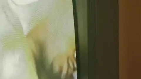 Black From Behind - acción caliente por detrás