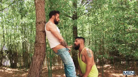 Scott Carter e Justin Jett - Cruzeiro de prazer