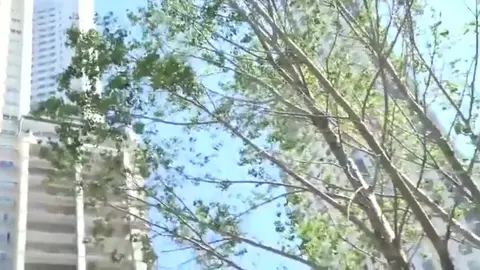 Jeune Argentin Giorgio en train de baiser 007