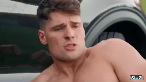 Pollón en el picnic