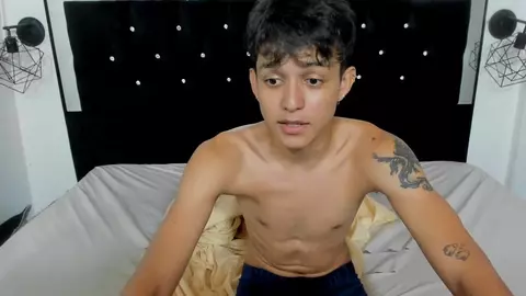 Casal pornô gay Sebascat em show de cam