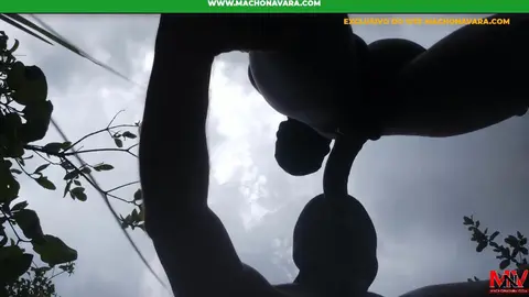 Boy Cobra 2 - gay amador