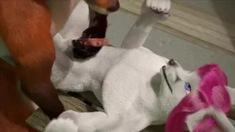 Todo mundo pro chuveiro com os caras