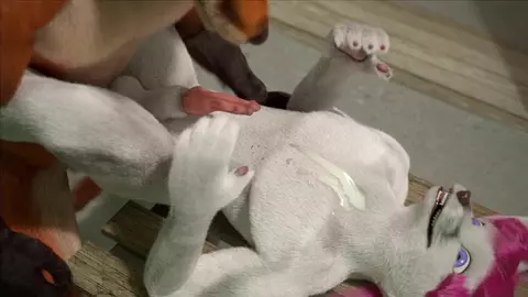 Tous sous la douche avec les mecs