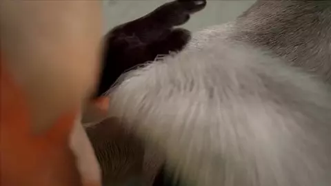 Tutti sotto la doccia coi ragazzi