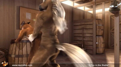 Fox In The Stable – garanhão em fogo no estábulo