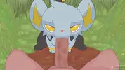 Breeding Shinx