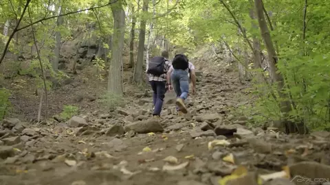 Into The Woods parte 4