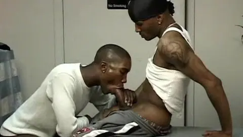 Großer schwarzer Hengst