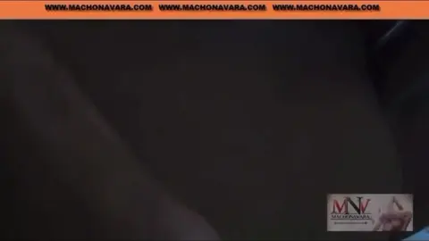 Gut bestückter brasilianischer Amateurhengst