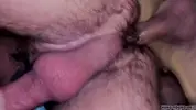HYB Pornstar Orgy 1/2