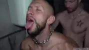 HYB Pornstar Orgy 2/2