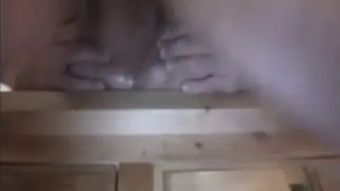 cara jovem transando com maduro gay amador