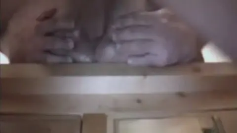 cara jovem transando com maduro gay amador