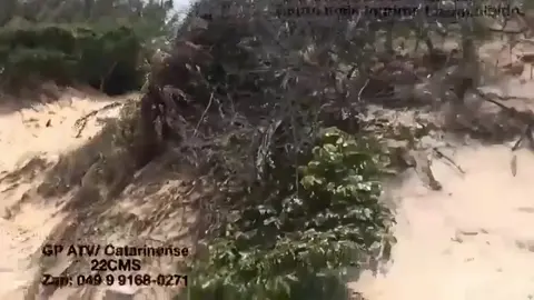 garoto de programa 3