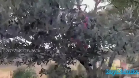 hot sexy couple twinks homemade andretwink