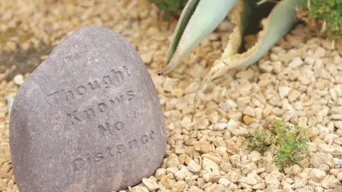 Cliff Jensen, Jack Waters - Taking A Load Off