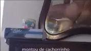 Sexo gay amador brasileiro 2