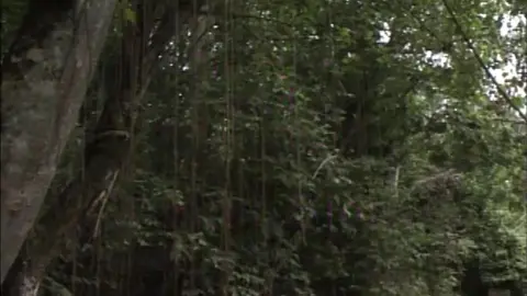 The Caracas Adventure