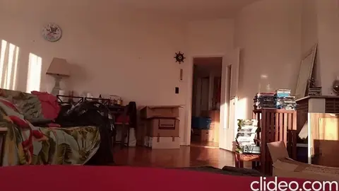 wally working nude home