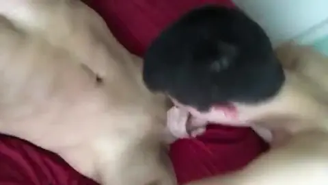 college sophomore visits step dad's bed