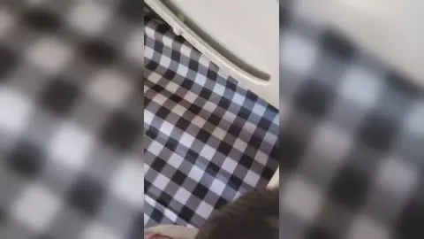 Alpha pushs fag's face in toilet while pounding him