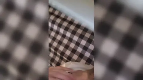 Alpha pushs fag's face in toilet while pounding him