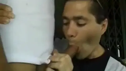 você chuparia meu pau