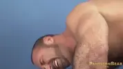 Grey-haired daddy fucking a hairy stud