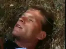He loves sucking the cop in the woods