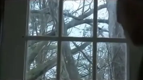 padre, coroinha e o maduro