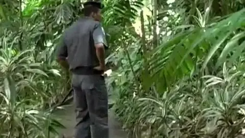 pm pega viadinho dando no mato e empurra no cuzinho dele também