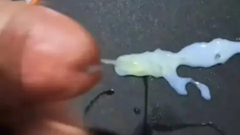 iAmBearBoy Cumshot Cumpilation ( The Movie )