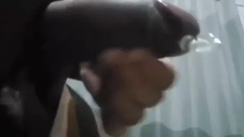 Big Dicks Cumshots and Handjobs Collection by iAmBearBoy