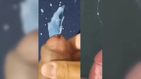 iAmBearBoy Colecão de Punhetas