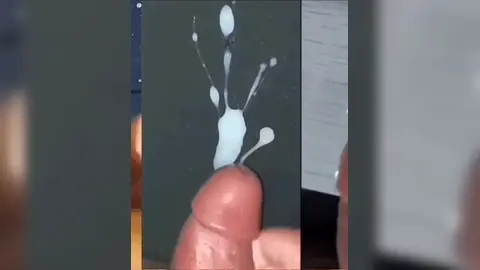 iAmBearBoy Colecão de Punhetas