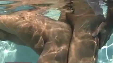 _MUSCLE_UP_Scene_5_-_Edu_Boxer_Pierro_Sias