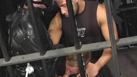 _Jason_Crew_Pierro_Sias_Troy_Punk