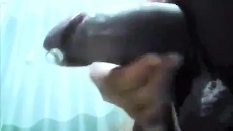 iAmBearBoy y su piercing