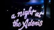 A Night At The Adonis