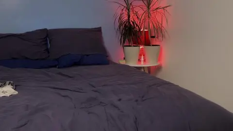 Show cam sexy d’un minet