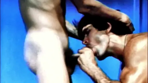 Pleasures In The Sun