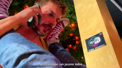 La revanche des grosses queues