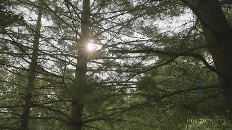 Jack Dixon brutally fucks Nico Nova and cums in his mouth