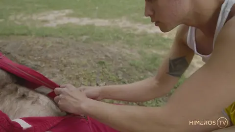 Jack Dixon brutally fucks Nico Nova and cums in his mouth