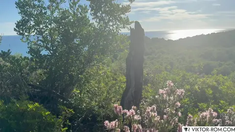 Viktor Rom, Danny Fox & Pablo XXL - Cruising In The Montain