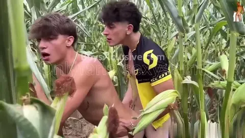 Couple de twinks baise chaud en extérieur, show cam