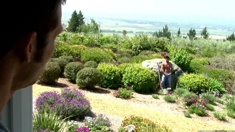 Kevin Crows & Dominic Pacifico – Plowed Deep