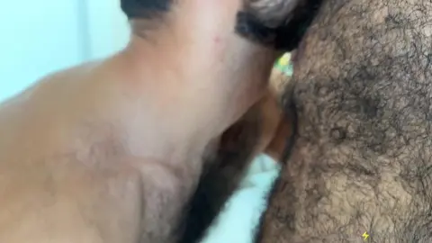 Daddy Bear wird angebetet