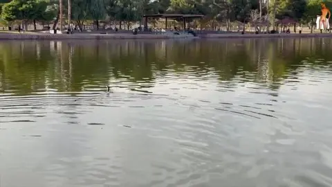 Twink-Dreier: RyanChun, RyderRockwell & VincentRevero